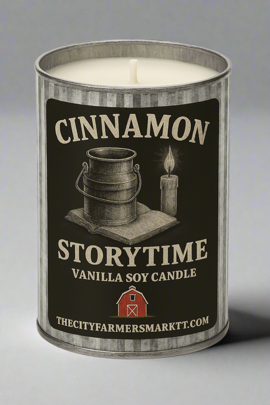 Cinnamon Story Time Soy Candle