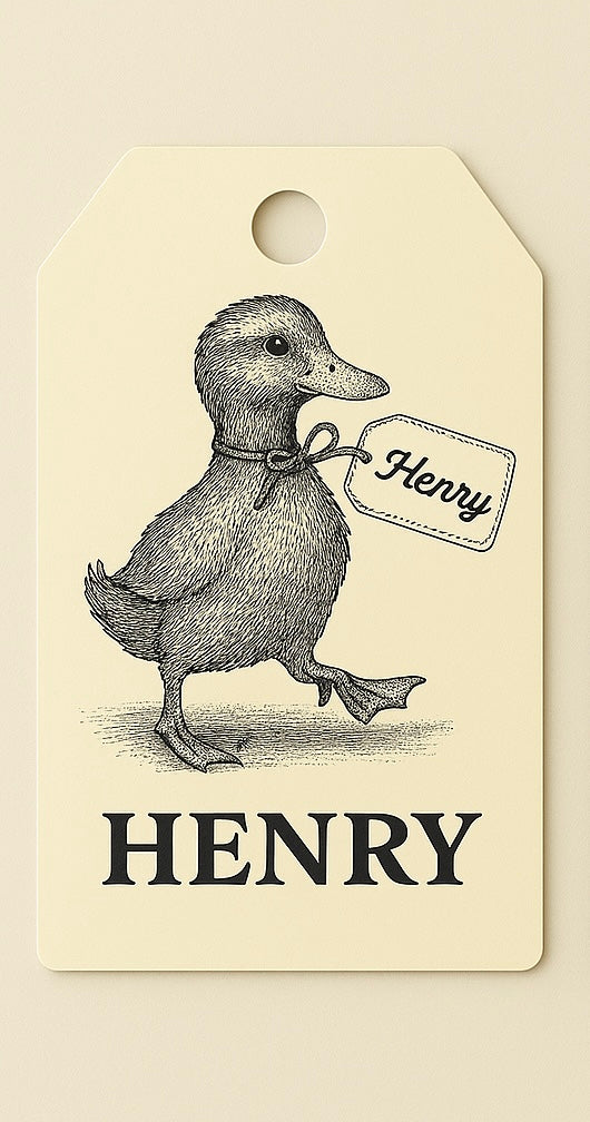 Henry's Garden Adventure Tags-Set of Three